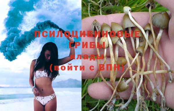 альфа пвп Нея