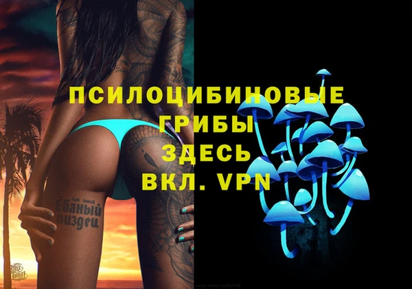 альфа пвп Нея