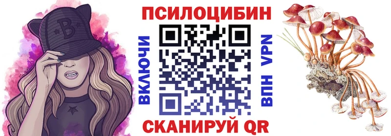 купить наркоту  Миньяр  Галлюциногенные грибы Psilocybe 